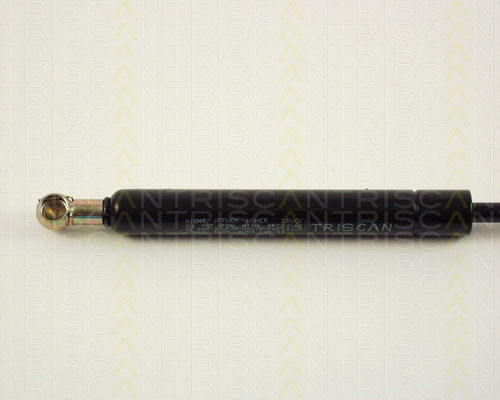 Triscan 8710 29220 Trunk Shock Absorber