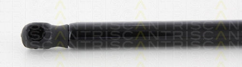 Triscan 8710 43234 Trunk Shock Absorber