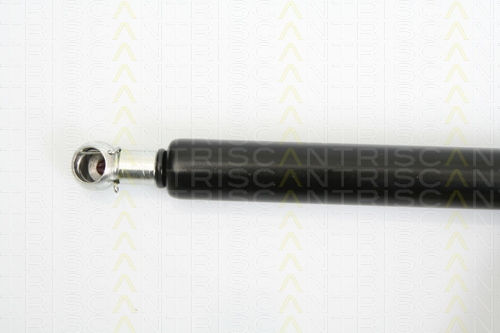 Triscan 8710 24231 Амортисьор За Багажник