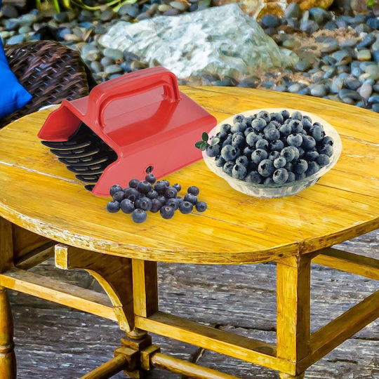 Blueberry Picker 15x10x9cm