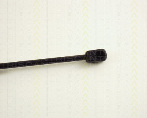 Triscan 8710 29248 Trunk Shock Absorber