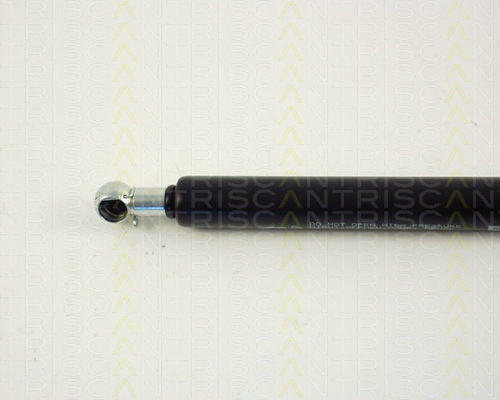 Triscan Trunk Shock Absorber 8710 29262