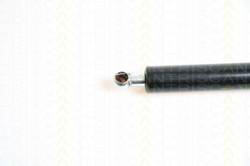 Triscan Trunk Shock Absorber 8710 25227