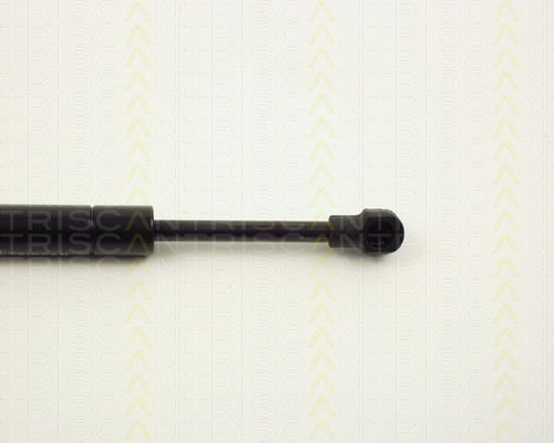 Triscan Kofferraum-Schock 8710 11219