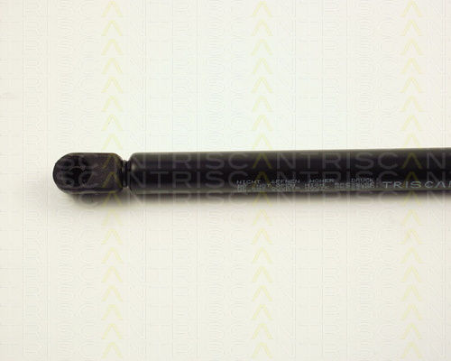 Triscan 8710 24202 Trunk Shock Absorber