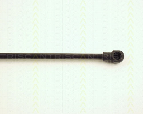 Triscan Kofferraum-Schock 8710 29118