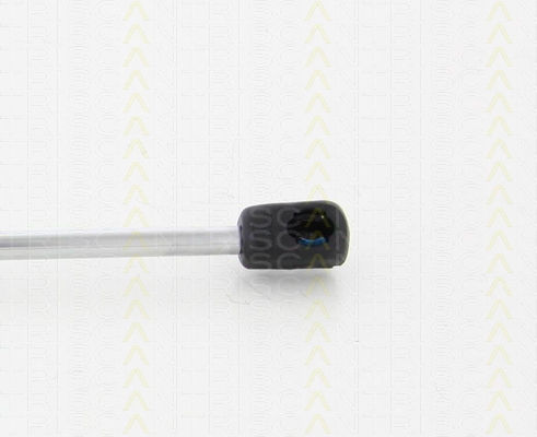 Triscan Hood Shock Absorber 8710 80102