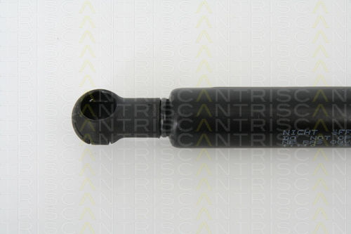 Triscan Hood Shock Absorber 8710 11110