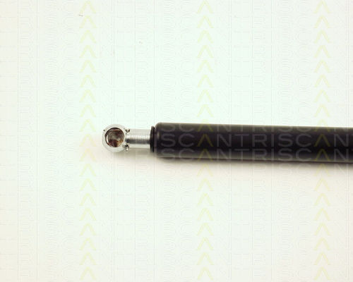 Triscan 8710 25223 Trunk Shock Absorber