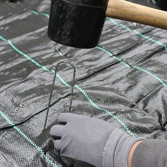 Grasher 22302256 Ύφασμα Εδαφοκάλυψης 100gr/m² 2x100m Μαύρο