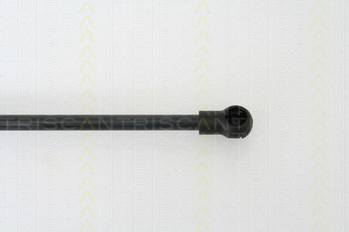 Triscan 8710 29266 Kofferraum-Schock-Absorber