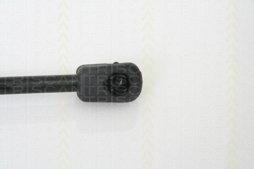 Triscan 8710 15228 Trunk Shock Absorber