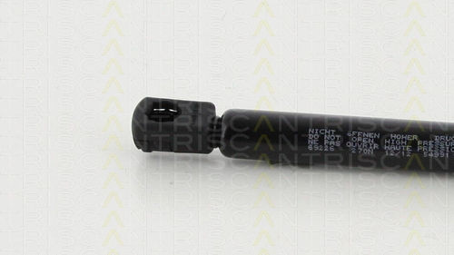 Triscan Trunk Shock Absorber 8710 69226