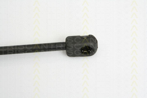 Triscan 8710 15223 Trunk Shock Absorber