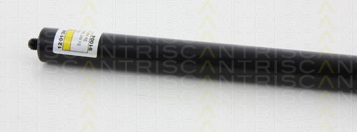 Triscan 8710 80209 Trunk Shock Absorber