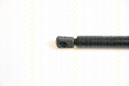 Triscan 8710 50234 Kofferraum-Schockabsorber