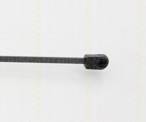 Triscan 8710 25254 Амортисьор За Багажник