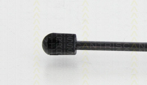 Triscan 8710 24240 Trunk Shock Absorber