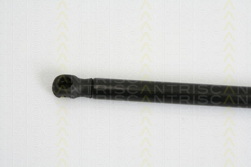 Triscan 8710 29279 Амортисьор За Багажник