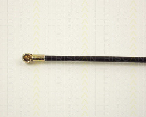 Triscan 8710 2910 Trunk Shock Absorber