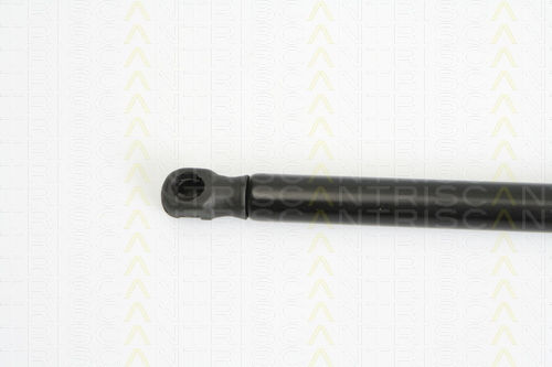 Triscan 8710 15233 Trunk Shock Absorber