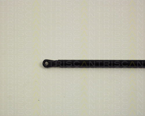 Triscan Hood Shock Absorber 8710 29105