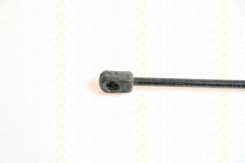 Triscan Kofferraum-Schock 8710 65103