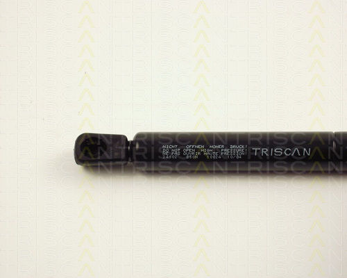 Triscan Hood Shock Absorber 8710 24102