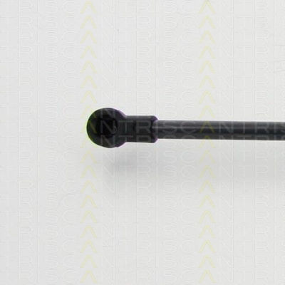 Triscan 8710 292022 Trunk Shock Absorber