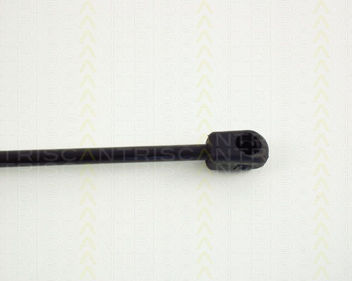 Triscan 8710 24203 Trunk Shock Absorber
