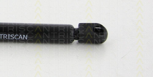 Triscan 8710 292105 Trunk Shock Absorber