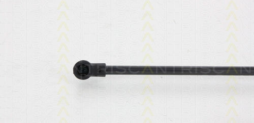 Triscan 8710 66205 Kofferraum-Schockabsorber