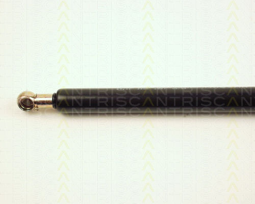 Triscan Trunk Shock Absorber 8710 29201
