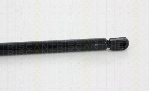 Triscan 8710 29294 Trunk Shock Absorber