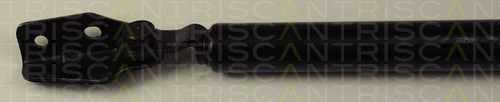 Triscan 8710 50226 Kofferraum-Schockabsorber
