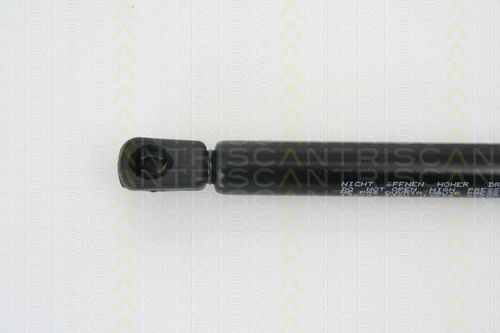 Triscan Амортисьор За Багажник 8710 13270