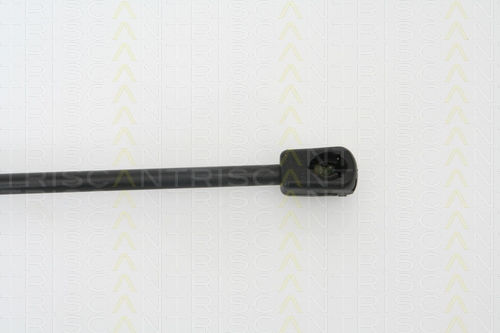 Triscan Hood Shock Absorber 8710 27105