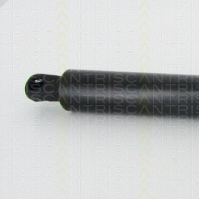Triscan 8710 29214 Kofferraum-Schock