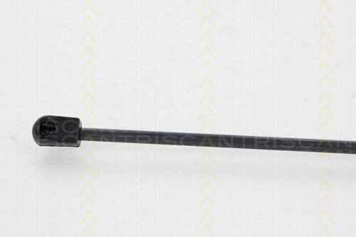 Triscan 8710 24235 Trunk Shock Absorber