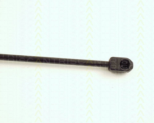 Triscan 8710 17205 Амортисьор За Багажник