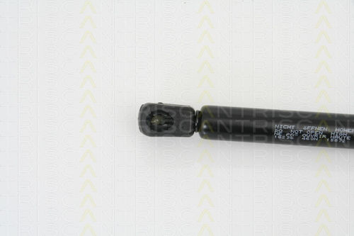 Triscan 8710 16238 Trunk Shock Absorber