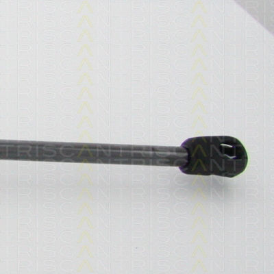 Triscan 8710 29214 Kofferraum-Schock