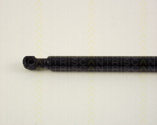 Triscan 8710 38212 Amortizor Portbagaj