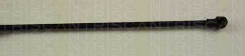 Triscan 8710 38212 Amortizor Portbagaj