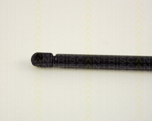 Triscan 8710 29232 Амортисьор За Багажник