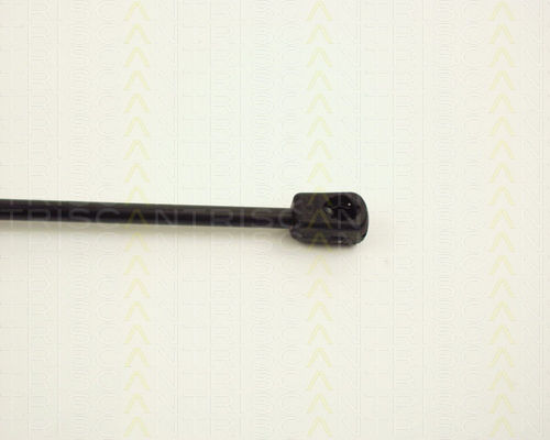 Triscan 8710 12209 Trunk Shock Absorber