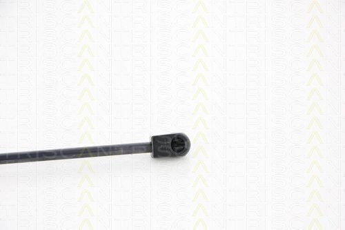 Triscan 8710 67203 Trunk Shock Absorber