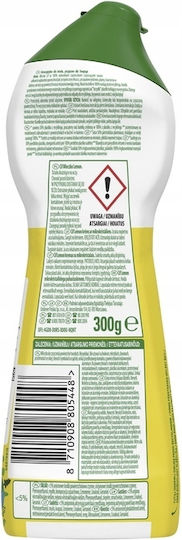 Unilever Allzweckreiniger Creme 300g
