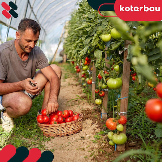 Kotarbau Holzpflanzenspieße Tomaten Gemüse Gartenstützen Bäume Sträucher 60 cm Set 15 Stück