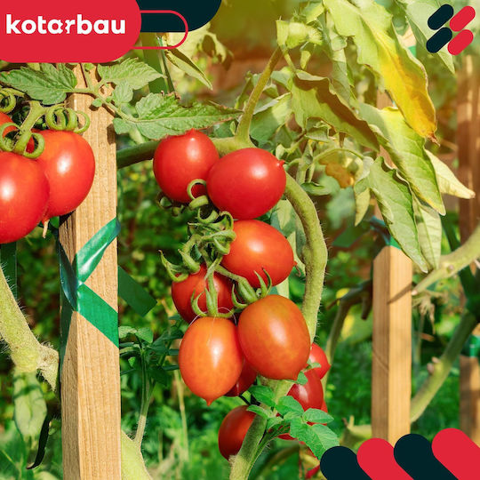 Kotarbau Holzpflanzenspieße Tomaten Gemüse Gartenstützen Bäume Sträucher 50 cm Set 15 Stück